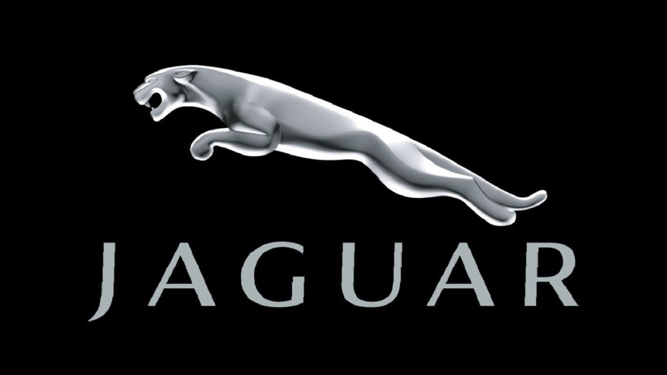 Jaguar und seine Entscheidungen